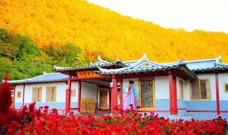 5.28 29发.览朝鲜民俗原始风貌.赏浑江口油菜花海美景.品正宗朝鲜特色农家饭