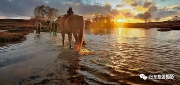 丹东旅游摄影协会 9月20 25日金秋坝上采风活动召集