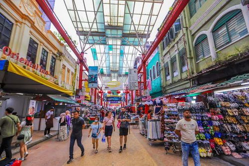 马来西亚茨厂街,以前是生产薯片的,现成吉隆坡旅行必打卡的景点