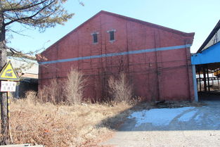 丹东知名企业 化纤厂