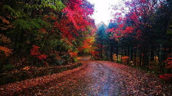 2018丹东秋季旅游季启动暨第十三届天桥沟枫叶文化旅游节拉开序幕